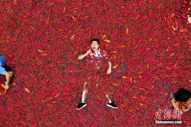 Hunan celebra la competencia del ají picante