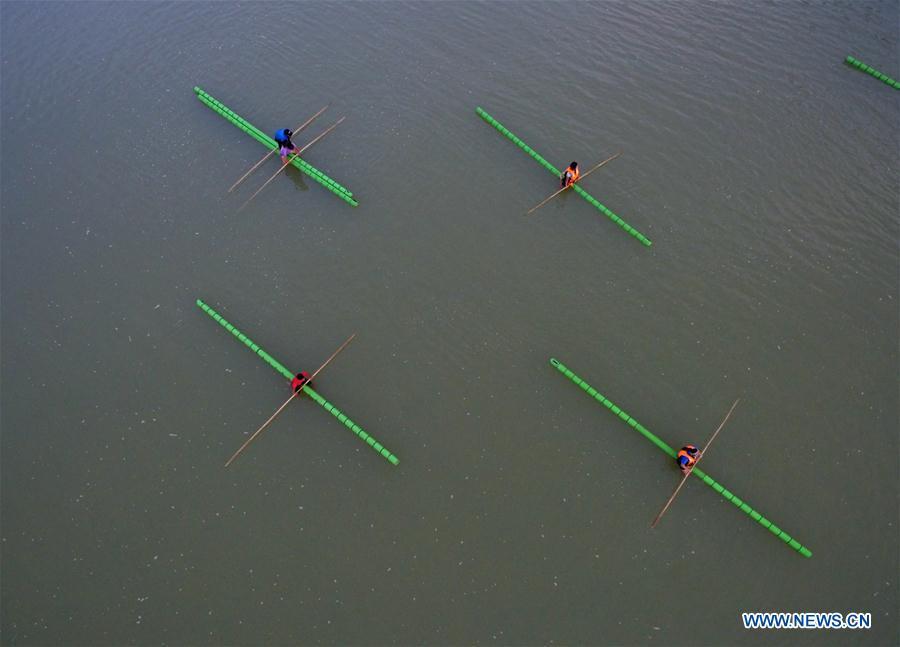 Estudiantes practican sobre una rama de bambú en los canales de Guizhou