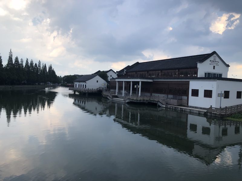 Camino verde hacia la riqueza: la economía ecológica prospera en las aldeas chinas