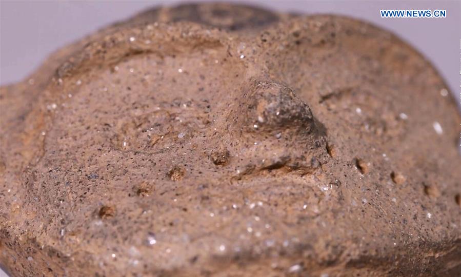 La foto muestra una pieza de cerámica con forma de cabeza femenina descubierta en un sitio de la Nueva Edad de Piedra en la aldea Shuangdun en la provincia de Anhui, este de China. (Xinhua / Museo Bengbu)