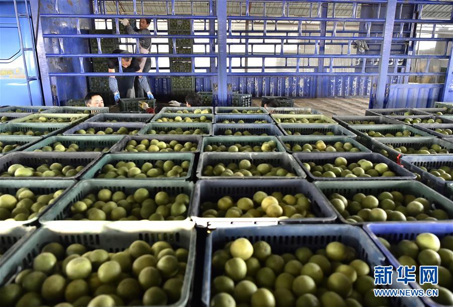 El mangostino se convierte en la “fruta de la riqueza”