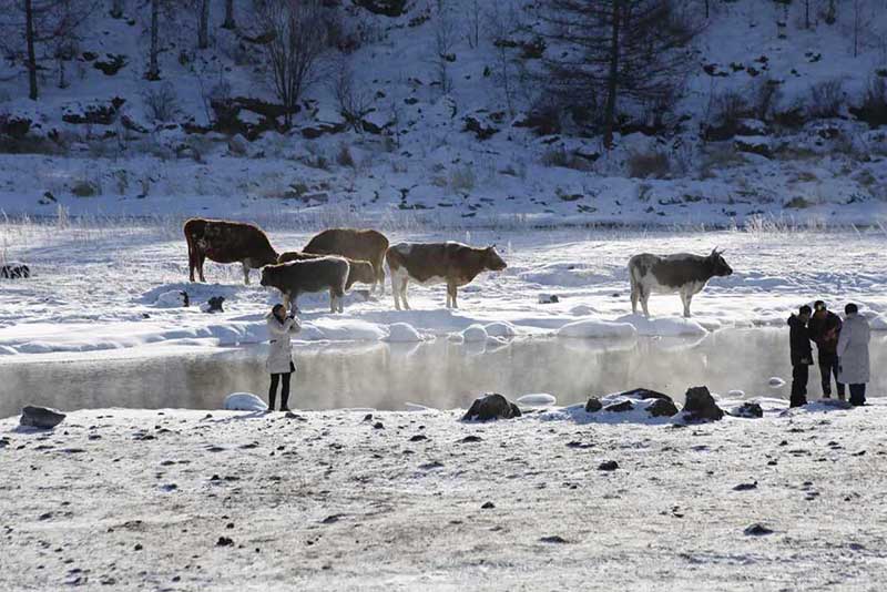 El río llamado “el río descongelado” por los lugare?os de Hinggan, Región Autónoma de Mongolia Interior, nunca se congela incluso cuando la temperatura alcanza valores entre menos 15 y 30 grados celsius. [Foto: proporcionada a chinadaily.com.cn]