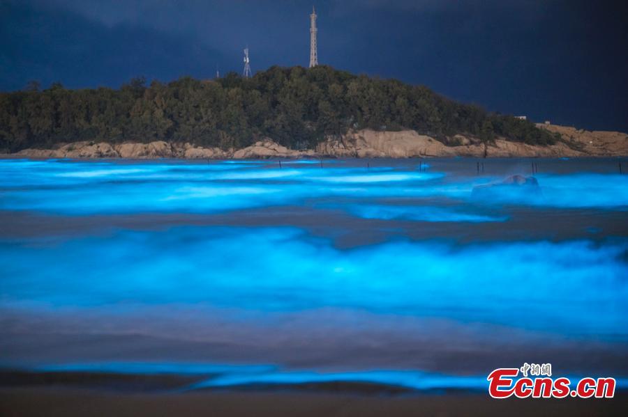 Efervecencia de algas azules hace centellear el agua de Fuzhou