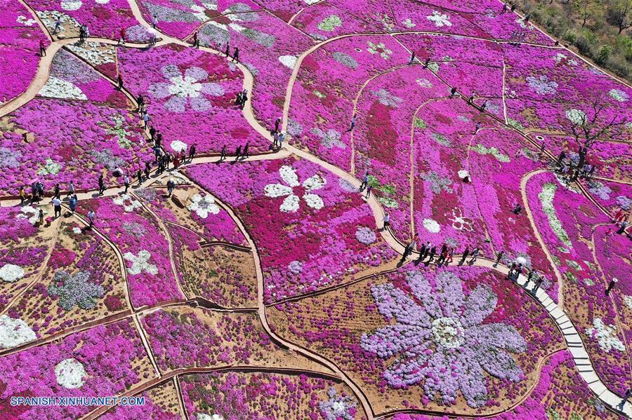 China reporta 195 millones de viajes de turistas nacionales durante vacaciones de Día del Trabajo