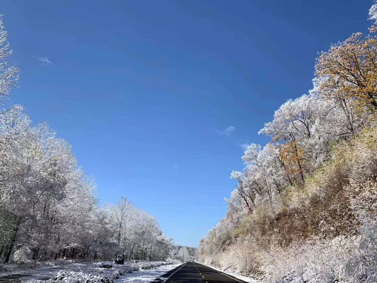 Una gran nevada convierte a la monta?a Changbai en un país de hadas donde los turistas disfrutan y ensue?an.（Foto: chinadaily）