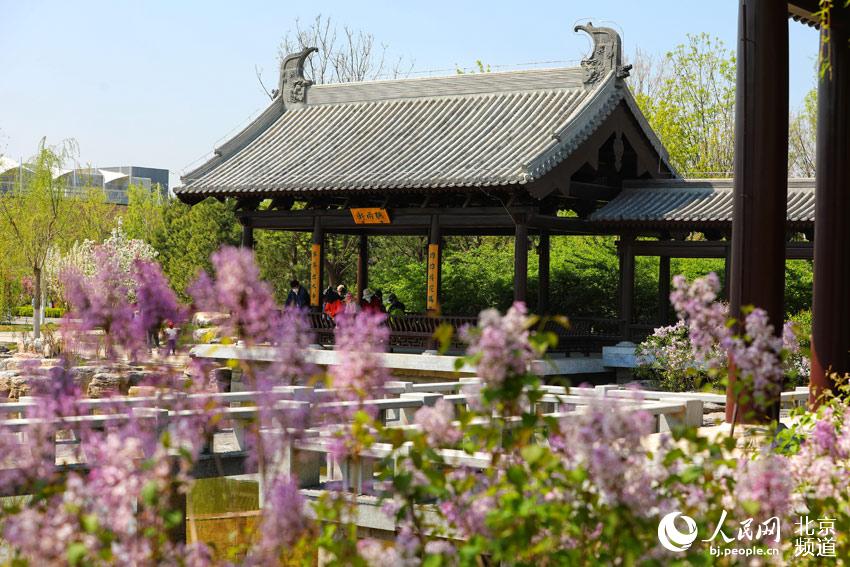 Se presenta al público el Parque de Exposiciones de Beijing