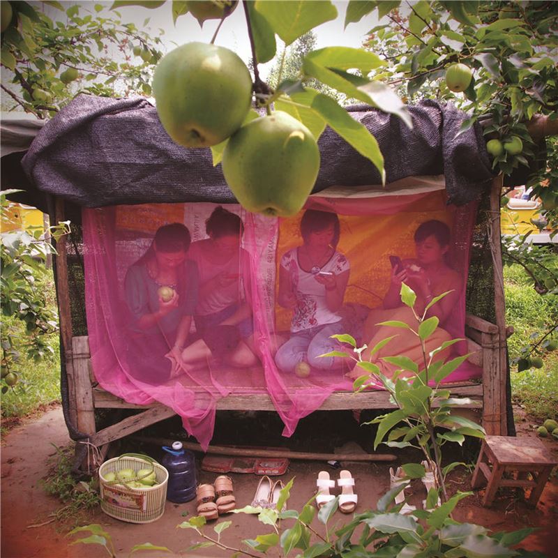 Graduadas universitarias que trabajan como funcionarias de la aldea se toman un descanso en un campo en el condado Sihong de Suqian, provincia de Jiangsu, el 24 de julio de 2013. [Foto de Li Ge / Para China Daily]