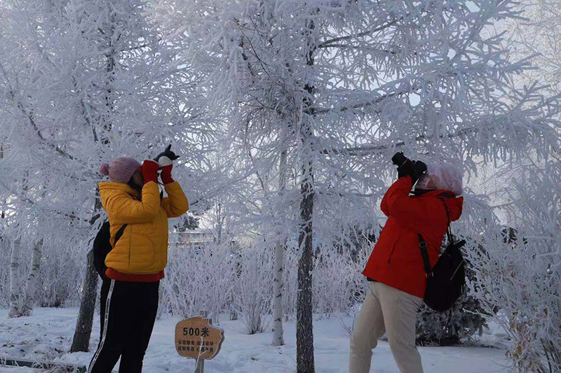 El delicado hielo de la suave escarcha en el condado Huma de la región de Daxinganling, provincia de Heilongjiang, atrae a los fotógrafos. [Foto de Wang Yabin / para chinadaily.com.cn]