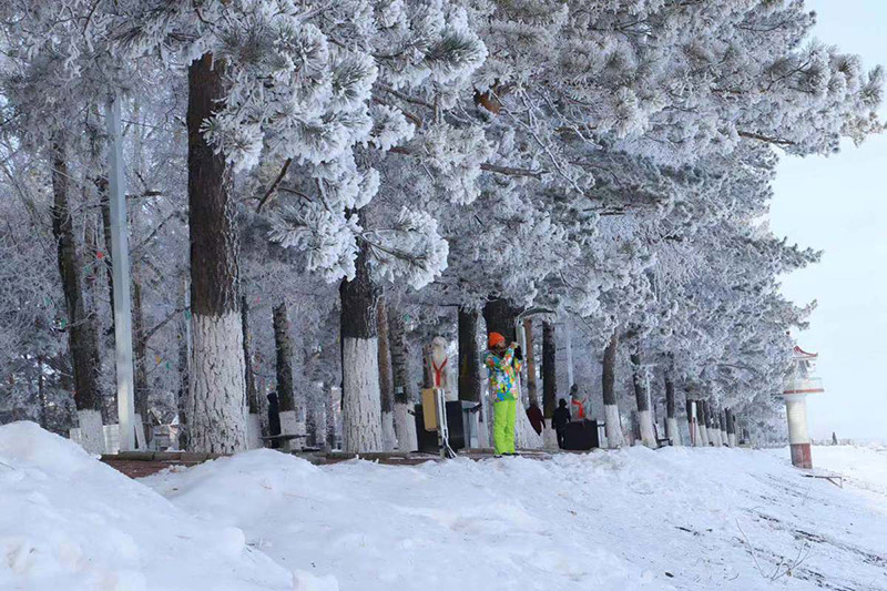 El delicado hielo de la suave escarcha en el condado Huma de la región de Daxinganling, provincia de Heilongjiang, atrae a los fotógrafos. [Foto de Wang Yabin / para chinadaily.com.cn]