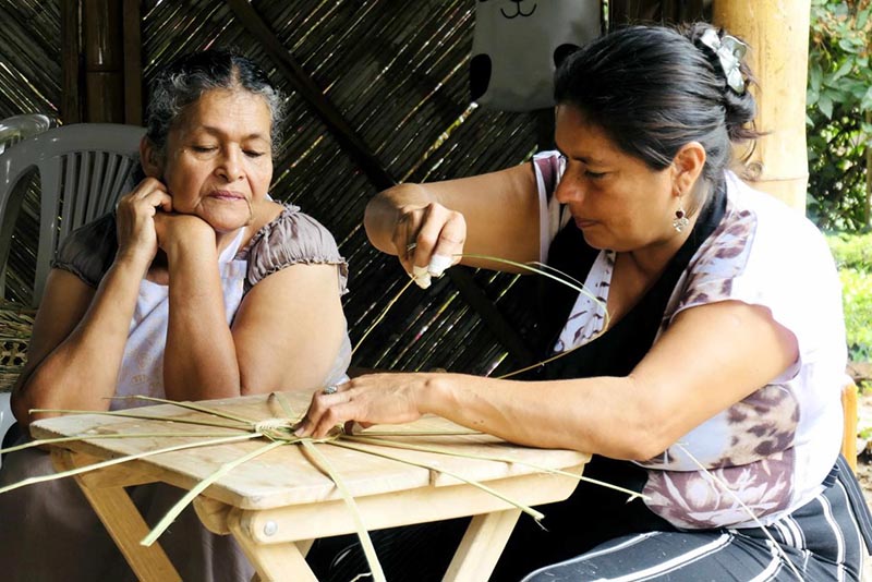 Una mujer ecuatoriana teje una canasta de frutas en casa después de asistir a una clase de capacitación organizada por el Centro Internacional de Bambú y Ratán. Foto cortesía del Centro Internacional de Bambú y Ratán.