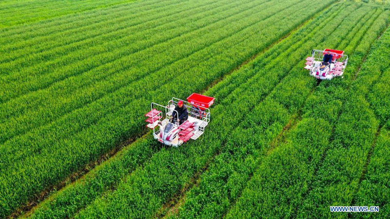 Agricultores en Huicheling, provincia de Zhejiang, 5 de abril del 2021. [Foto: Xinhua] 