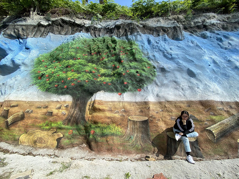 La organización Guinness reconoce el arte interactivo de Chongqing