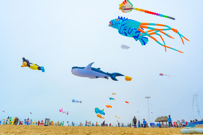 Las cometas vuelan en el cielo durante un festival de cometas en Weihai, provincia de Shandong, en el este de China. [Proporcionado a chinadaily.com.cn]