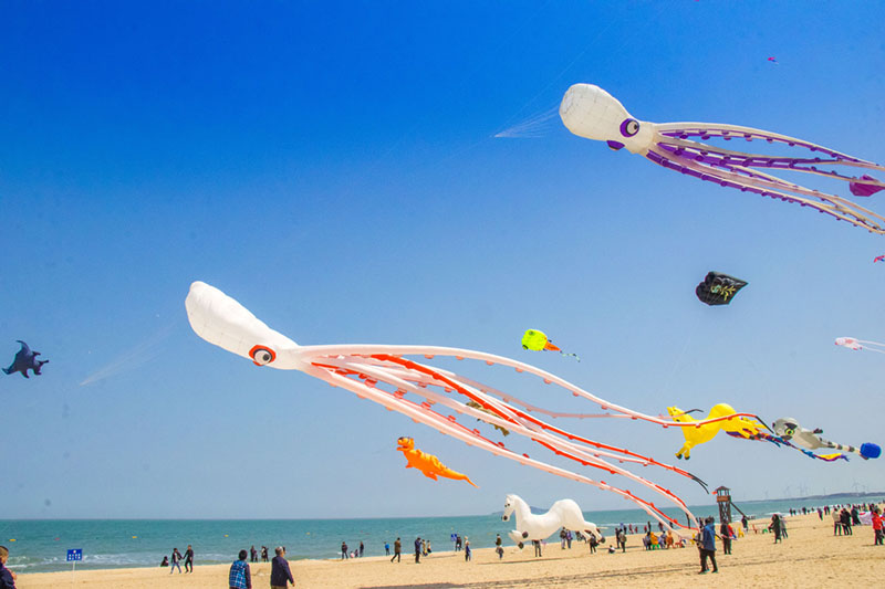 Las cometas vuelan en el cielo durante un festival de cometas en Weihai, provincia de Shandong, en el este de China. [Proporcionado a chinadaily.com.cn]