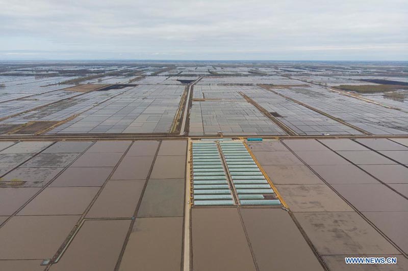 Sistema de Navegación por Satélite ayuda a desarrollar la agricultura inteligente en China