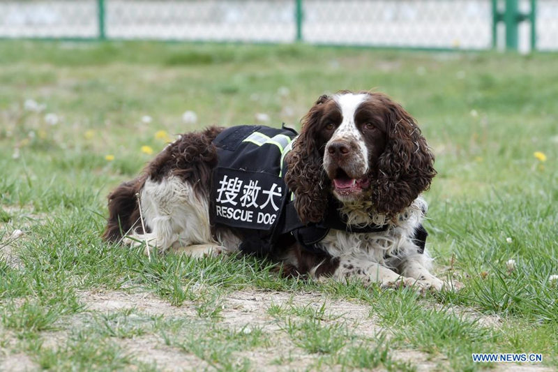 Entretamientos de alto nivel en el Centro Nacional de Entrenamiento de Búsqueda y Rescate Urbano de Lanzhou