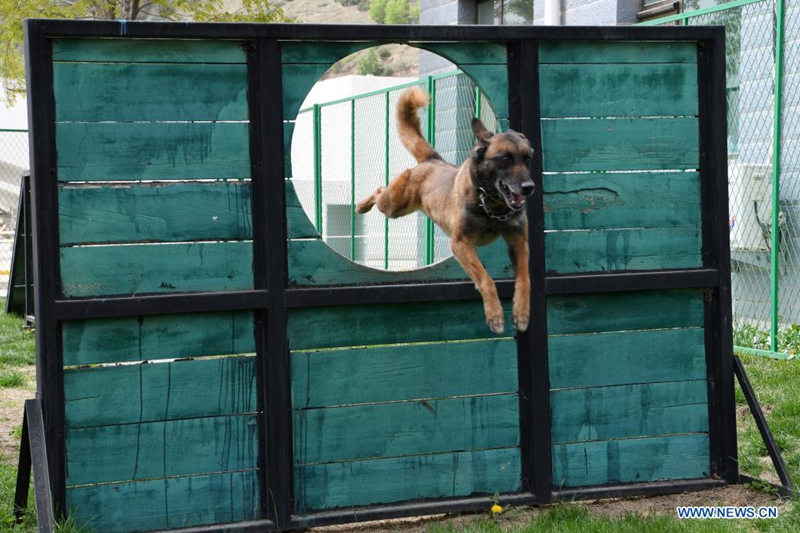 Entretamientos de alto nivel en el Centro Nacional de Entrenamiento de Búsqueda y Rescate Urbano de Lanzhou