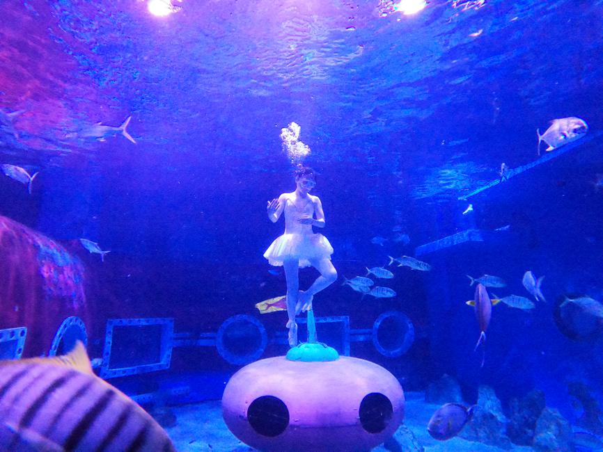 Una bailarina hace ballet submarino en el parque polar de Harbin, provincia de Heilongjiang. [Foto proporcionada a chinadaily.com.cn]