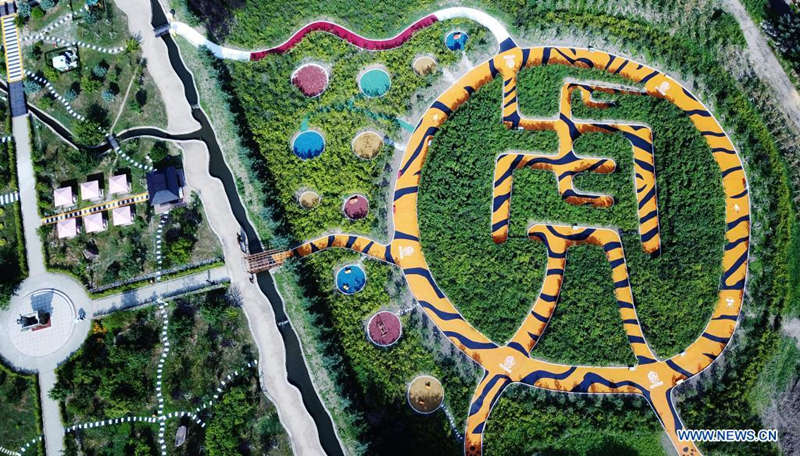 Tigres siberianos a buen recaudo en un parque forestal de Heilongjiang