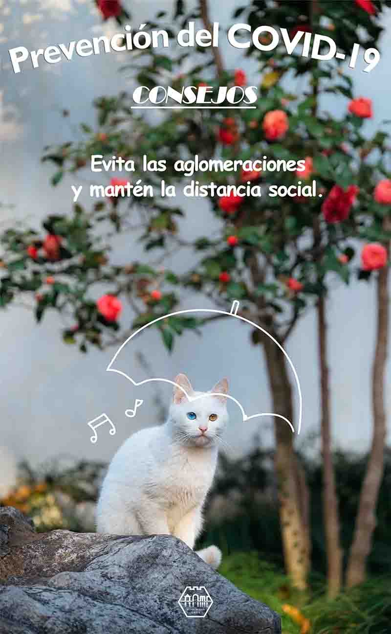 Consejos para la prevención del COVID-19