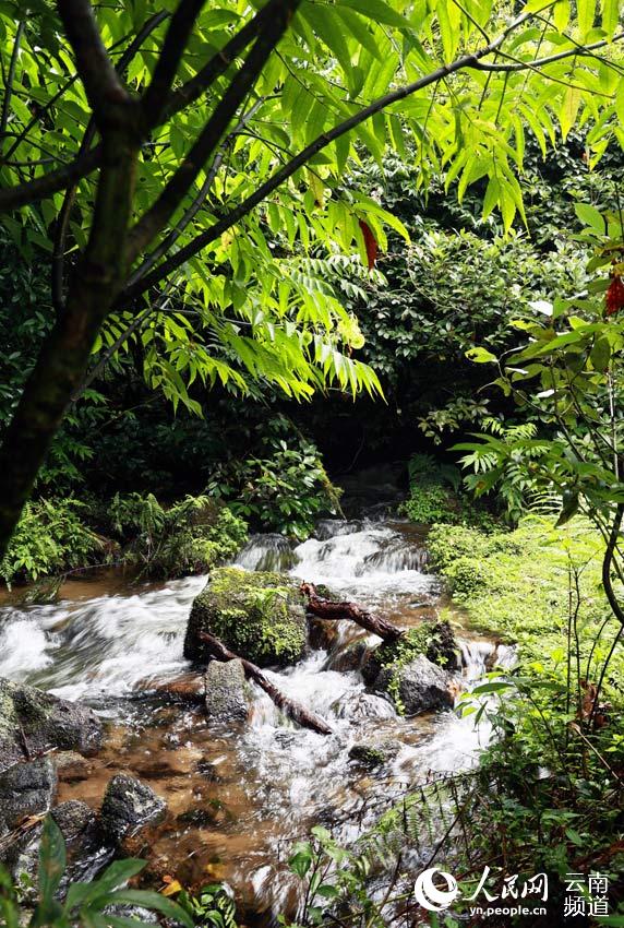 Reserva Natural Nacional de Wenshan: explorando el paraíso en Yunnan