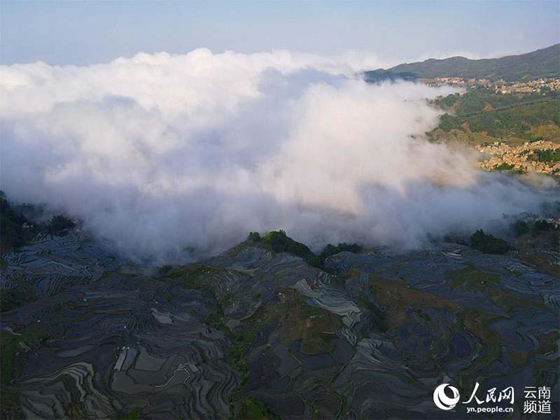 La foto muestra los campos en terrazas Hani en la monta?a Wuzhishan, el condado Yuanyang de la prefectura autónoma Yi y Hani de Honghe, en la provincia de Yunnan, en el suroeste de China. (Foto / Luo Jianguo)