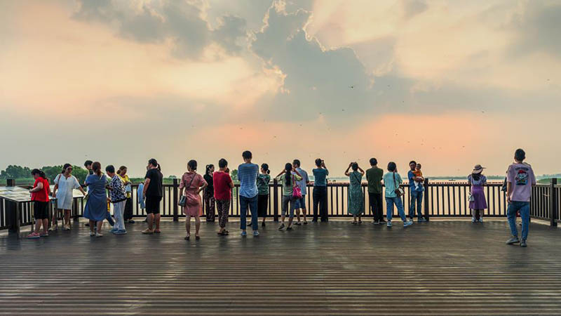 Los visitantes del parque ecológico Xuejiawa aprecian el paisaje desde una plataforma de observación. [Foto proporcionada a chinadaily.com.cn]