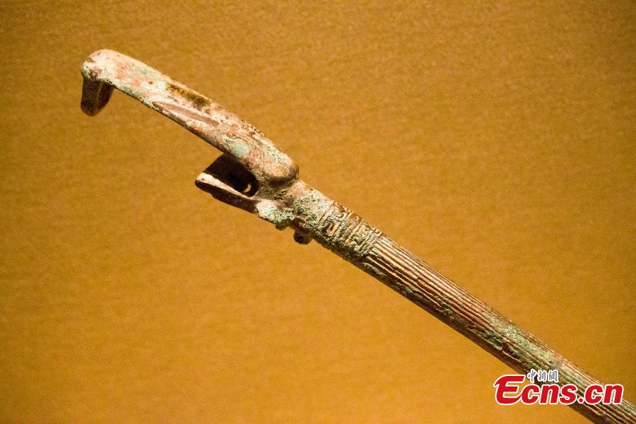 Un arnés antiguo y un “palo de selfie” comparten secretos