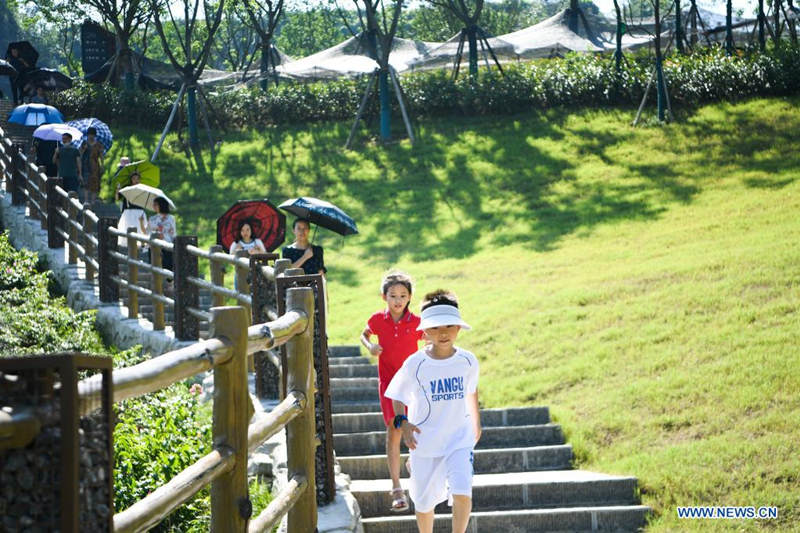 Antigua zona de exploración minera es transformada en fragante parque de monta?a