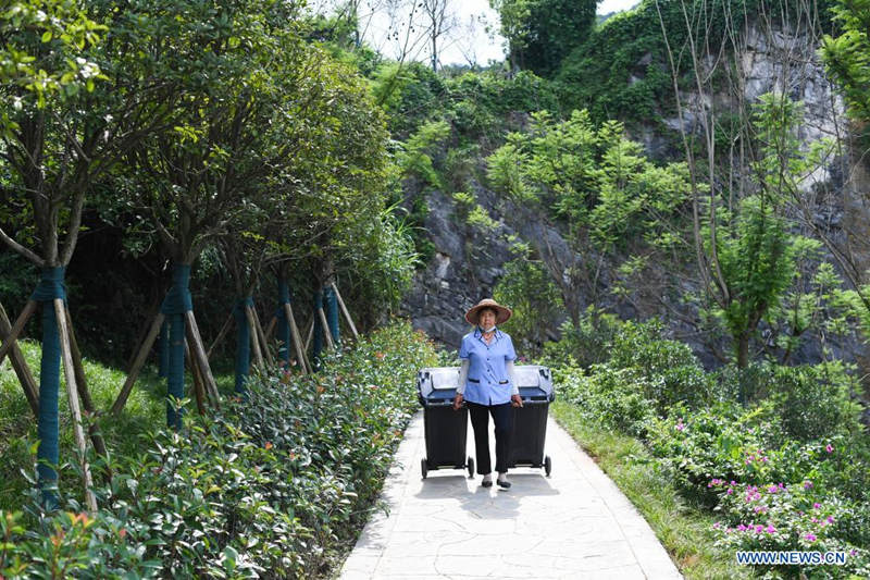 Antigua zona de exploración minera es transformada en fragante parque de monta?a
