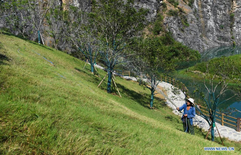 Antigua zona de exploración minera es transformada en fragante parque de monta?a