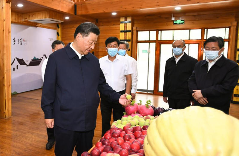 Xi inspecciona ciudad de Chengde, en norte de China