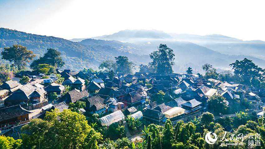 Monta?a Jingmai: cuna de la plantación de té más antigua y mejor conservada del mundo