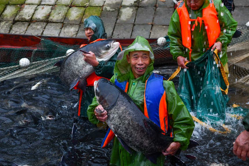 Comienza la pesca de invierno en un embalse ecológico de Chongqing