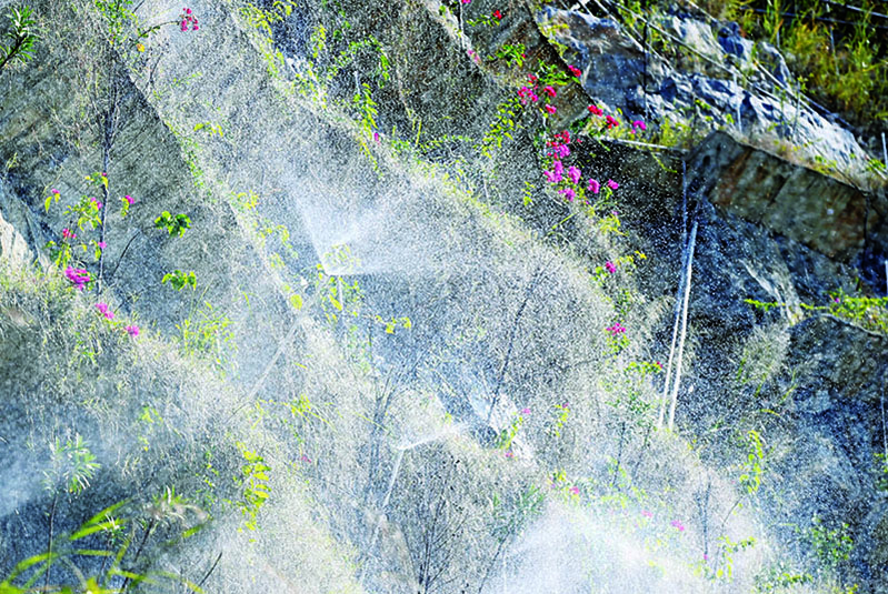 La foto tomada en diciembre de 2021 muestra las plantas durante el riego en el acantilado de una monta?a. (Foto / Li Hanchi)