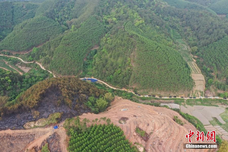 Vista aérea del lugar del accidente del Boeing 737 de China Eastern en Guangxi