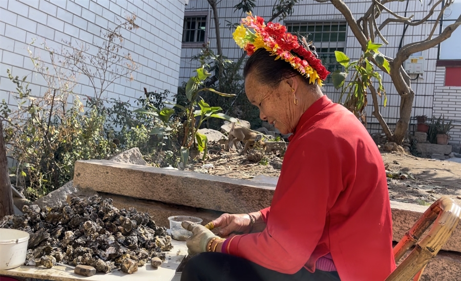 (Foto de Wang Jing/Diario del Pueblo digital)