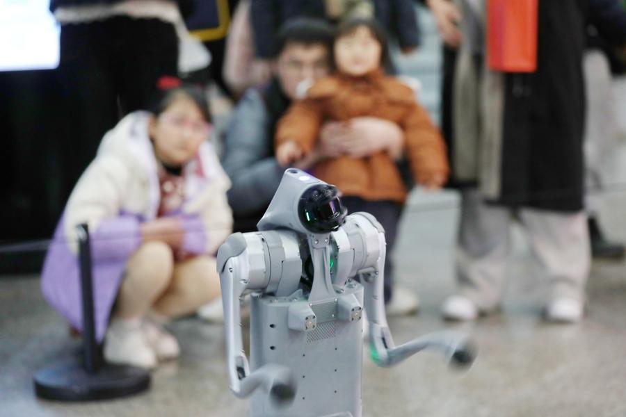 Visitantes observan una presentación realizada por un perro robot en el museo de ciencia y tecnología, en la ciudad de Jiaxing, en la provincia de Zhejiang, en el este de China, el 31 de enero de 2025. (Xinhua/Jin Peng) 