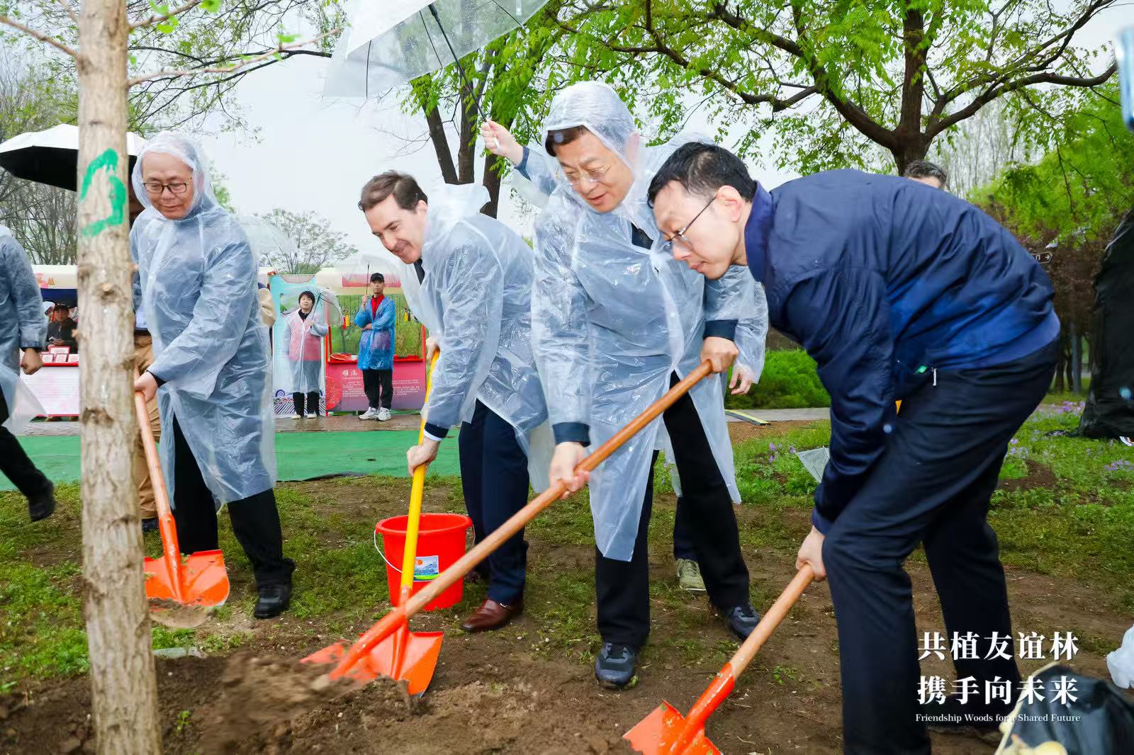 Autoridades chinas y embajadores latinoamericanos participan de la ceremonia “Plantando un bosque para construir un futuro compartido”, Beijing, 18 de abril del 2025. (Foto: cortesía)
