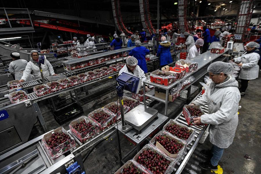 (Foro China-CELAC) Titulares de Xinhua: Desarrollo conjunto, futuro compartido: Xi Jinping impulsa avance exponencial de relaciones entre China y Latinoamérica y el Caribe