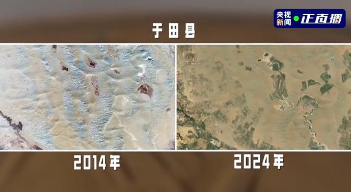 ?Las 100 mil rosas plantadas por China en el desierto florecieron!