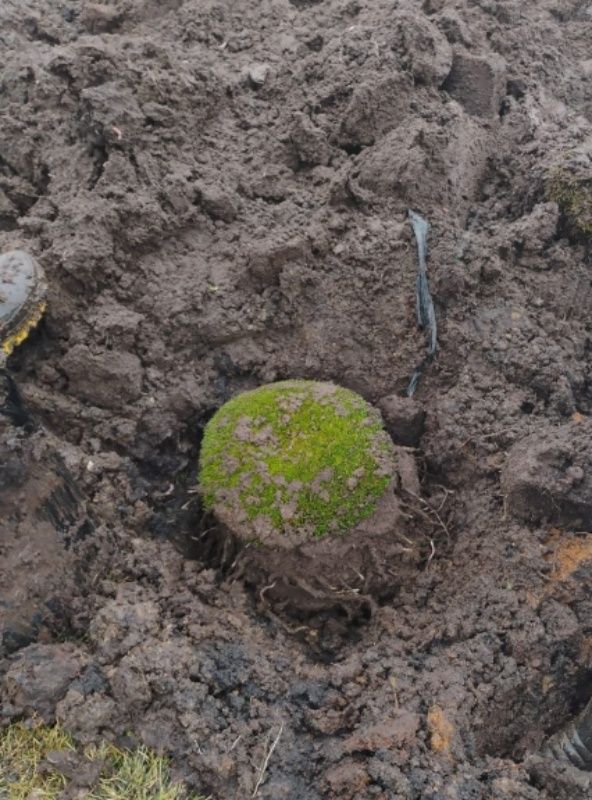 Imágenes: Valiosa flora y fauna silvestre monitoreada?en área de conservación San Antonio– Sierra Nevada?en Perú