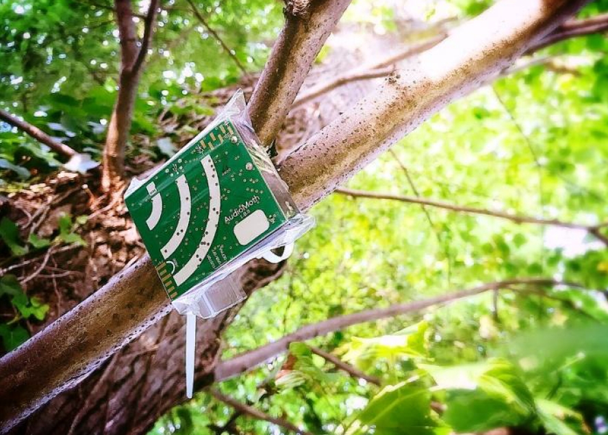 Imágenes: Reserva Estatal de Dzilam, una joya ecológica de México