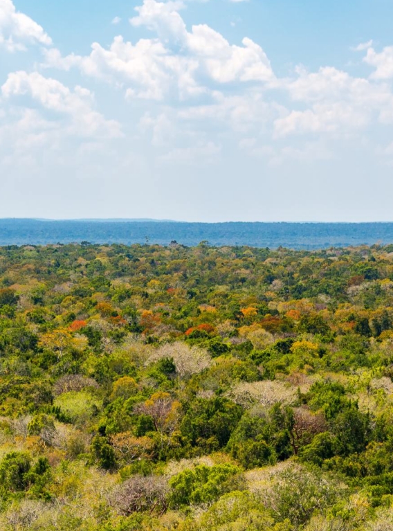 Imágenes: Reserva Estatal de Dzilam, una joya ecológica de México