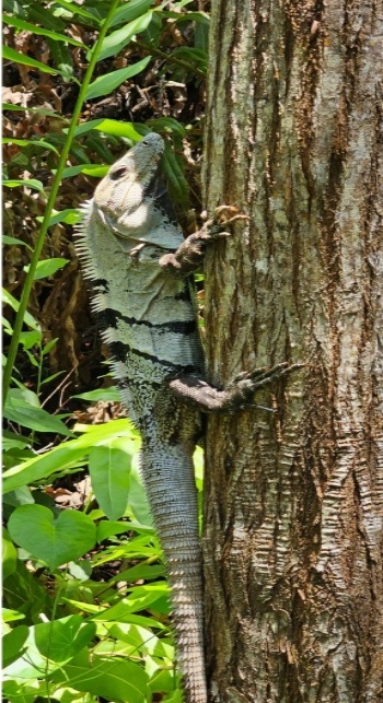 Imágenes: Reserva Estatal de Dzilam, una joya ecológica de México