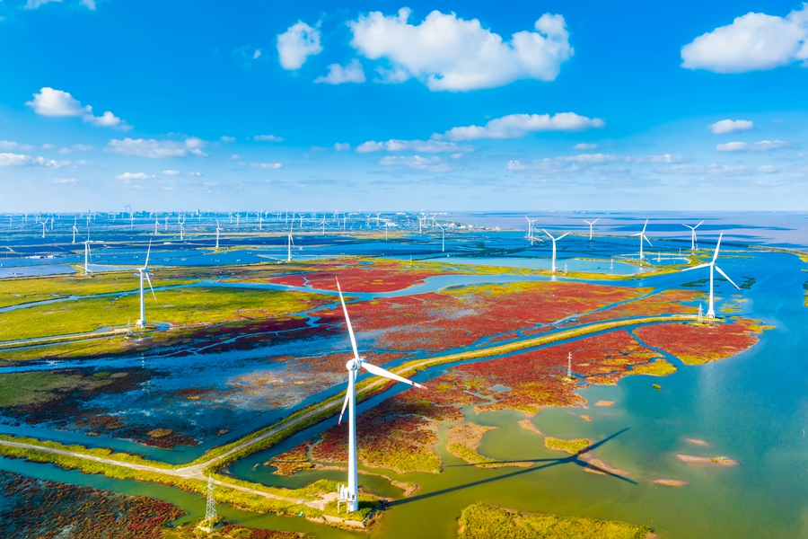 Se inaugura el Foro Costero Mundial 2025 en Yancheng, Jiangsu