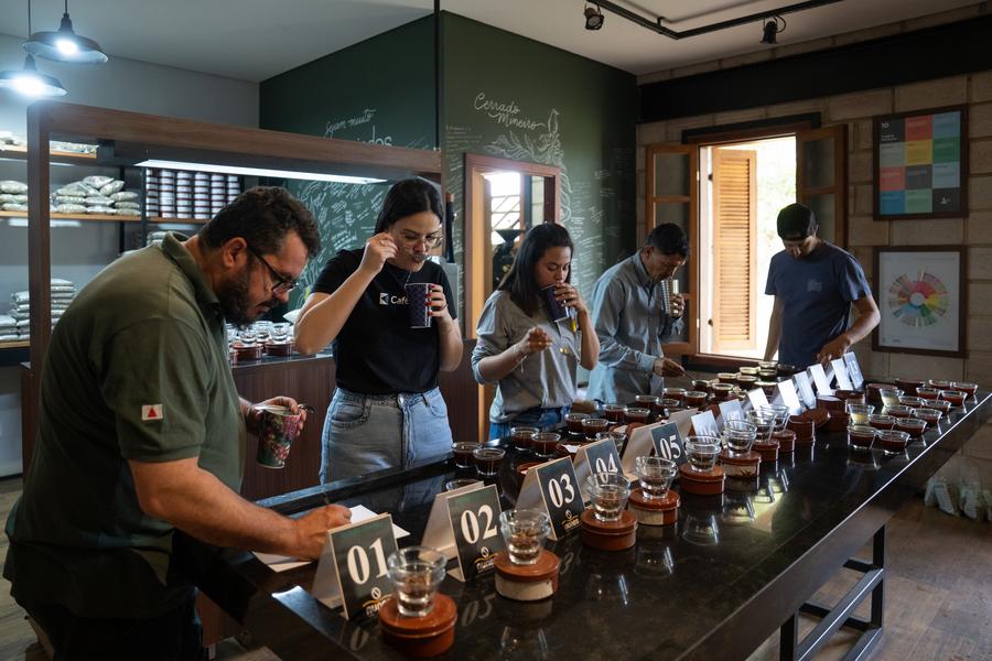 Trabajadores realizan una cata de café en una finca cafetera del "Cerrado Mineiro", una región productora de café en el estado brasile?o de Minas Gerais, el 26 de agosto de 2025. (Xinhua/Wang Tiancong)