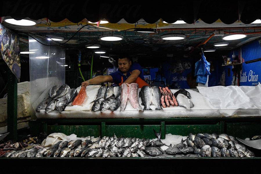 Imagen de archivo de un vendedor ofreciendo sus productos en un puesto en el Mercado Central de Santiago, en Santiago, capital de Chile. (Xinhua/Jorge Villegas)