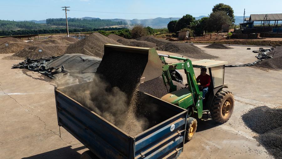 Venta de café de Brasil a EEUU cae 54,9% por aranceles estadounidenses